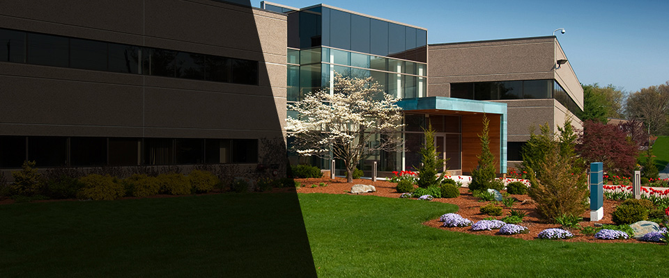 Douglassville Landscapers