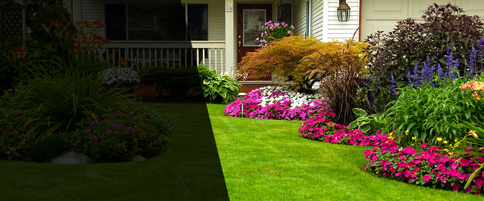 Douglassville Landscapers
