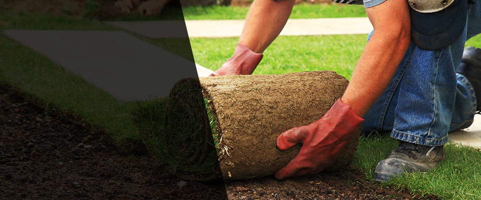 Douglassville Landscapers